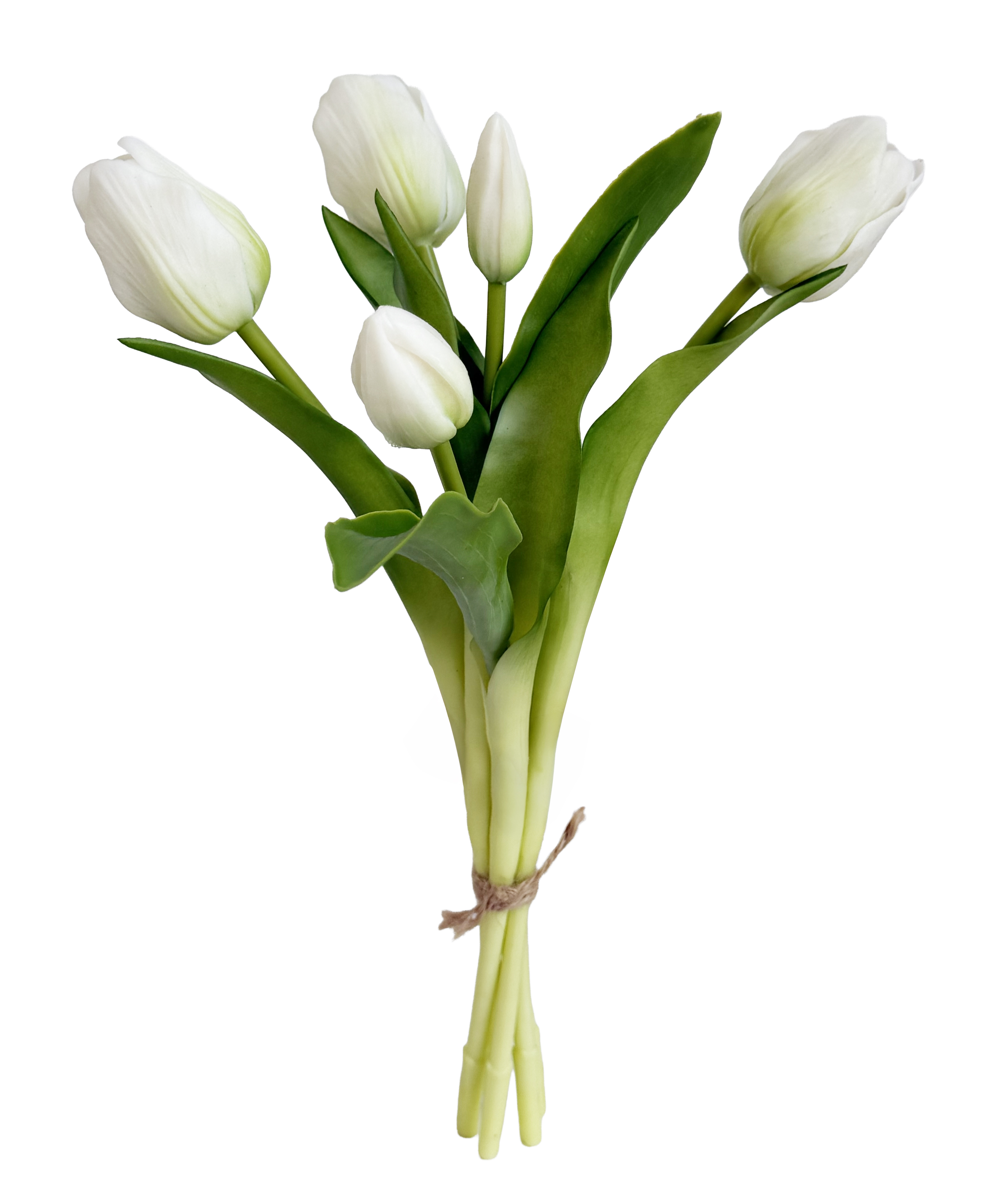 Тюльпаны White